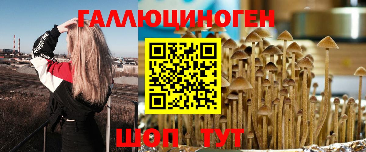 Псилоцибиновые грибы Cubensis  Вход с VPN  купить наркоту  Черногорск 