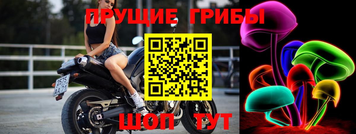 Псилоцибиновые грибы мицелий Черногорск
